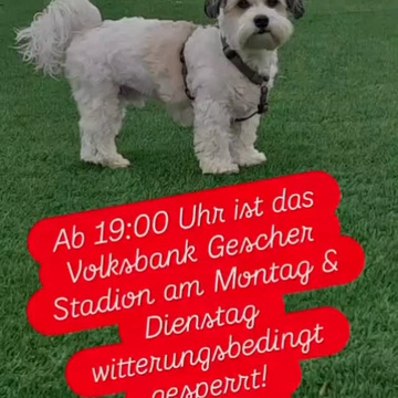 ***Info Ahauser Damm*** ***Info Ahauser Damm***